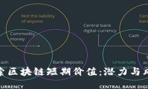 探索区块链短期价值：潜力与风险