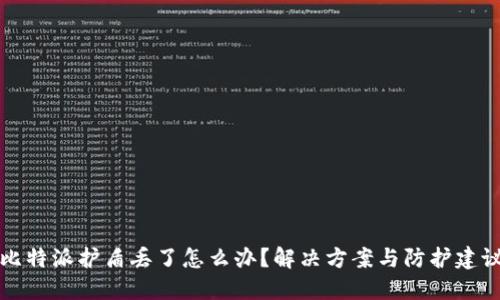 比特派护盾丢了怎么办？解决方案与防护建议