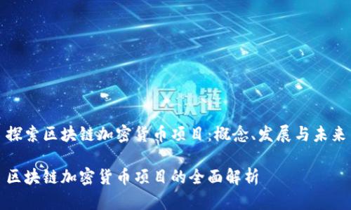 探索区块链加密货币项目：概念、发展与未来

区块链加密货币项目的全面解析