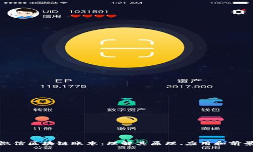 微信区块链账本：理解其原理、应用和前景