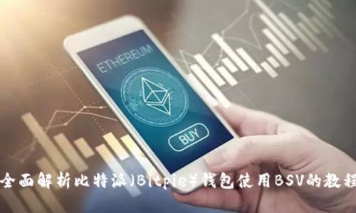 全面解析比特派（Bitpie）钱包使用BSV的教程