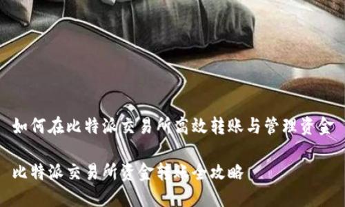 如何在比特派交易所高效转账与管理资金

比特派交易所资金转账全攻略