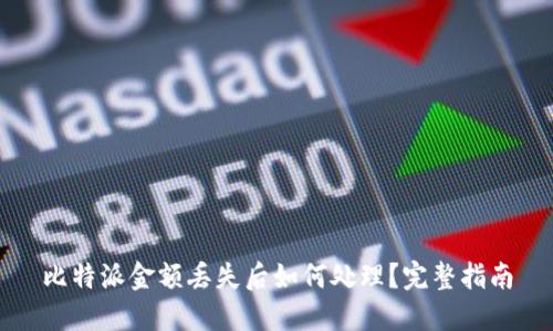 比特派金额丢失后如何处理？完整指南